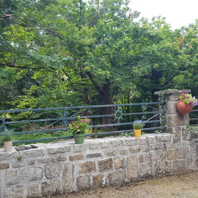 Appartement 2 Pieces Gravieres Εξωτερικό φωτογραφία